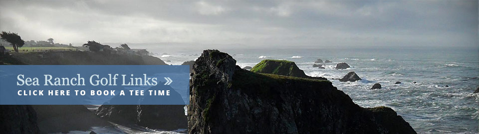 banner searanch
