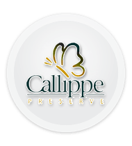 logo callippe
